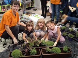 sciezka_sensoryczna 1